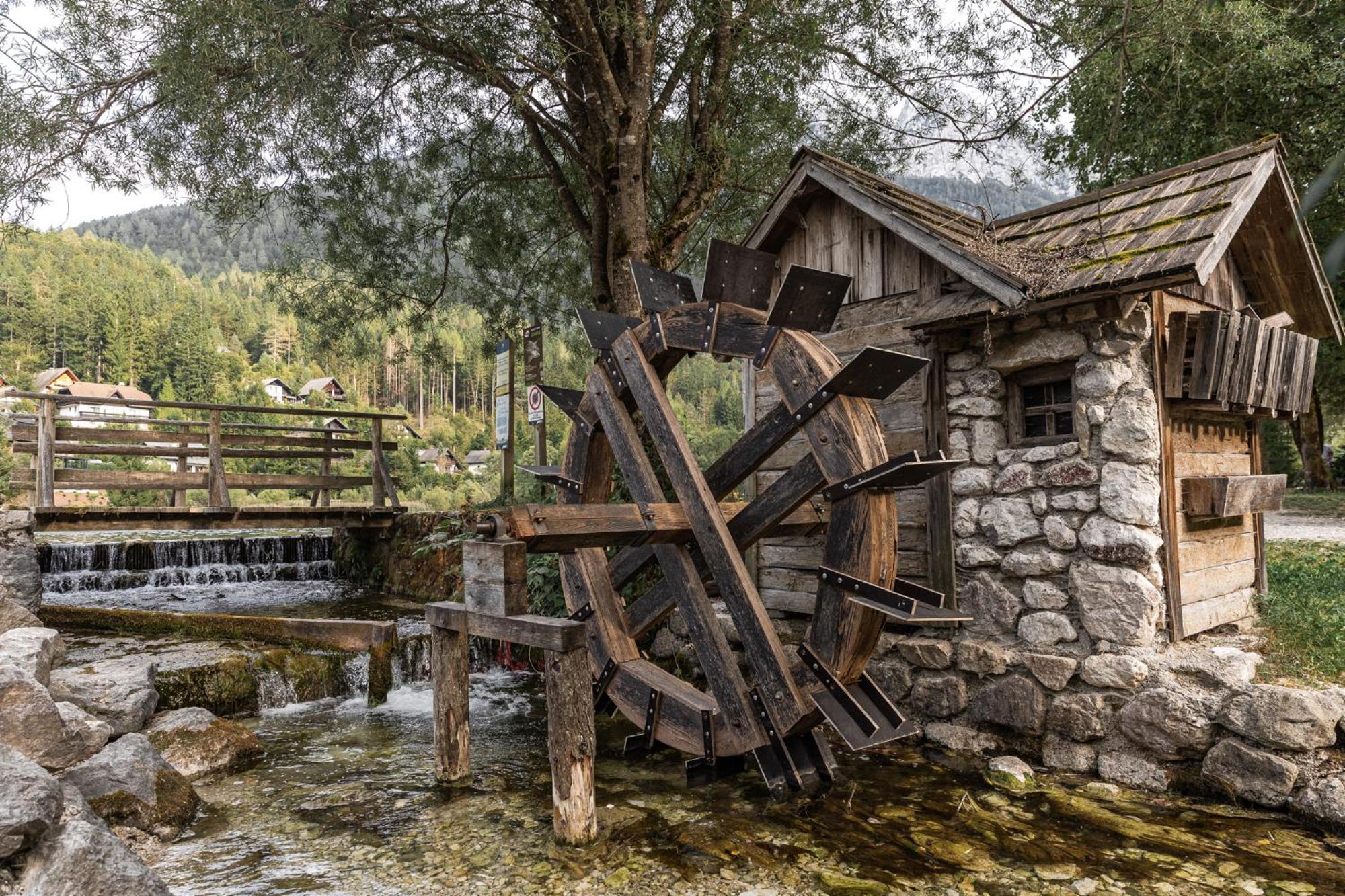 Eros Apartment Kranjska Gora Dış mekan fotoğraf